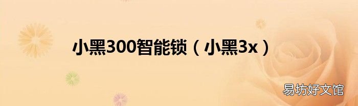 小黑3x 小黑300智能锁