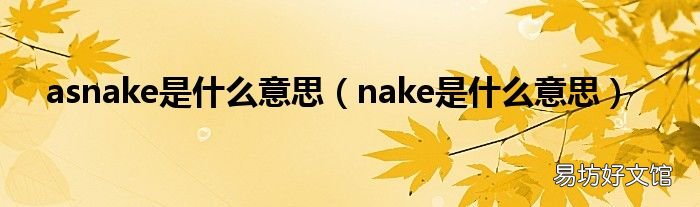 nake是什么意思 asnake是什么意思