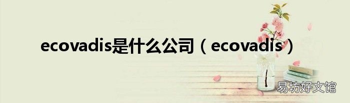 ecovadis ecovadis是什么公司