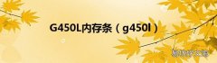 g450l G450L内存条