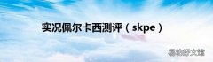 skpe 实况佩尔卡西测评