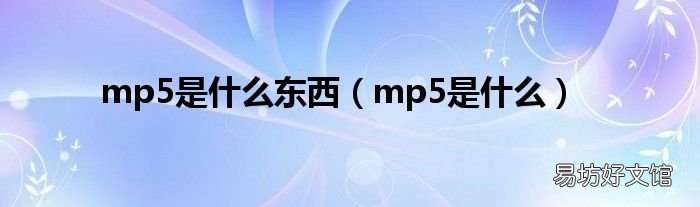 mp5是什么 mp5是什么东西