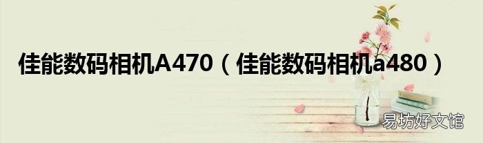 佳能数码相机a480 佳能数码相机A470