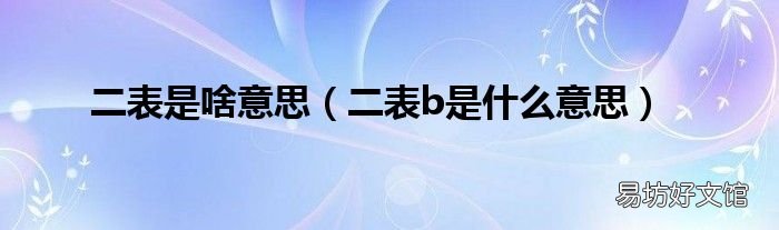 二表b是什么意思 二表是啥意思