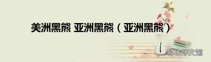 亚洲黑熊 美洲黑熊 亚洲黑熊