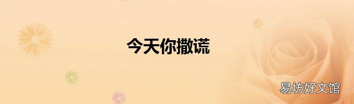今天你撒谎