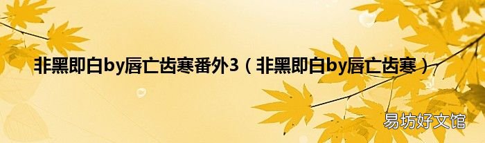 非黑即白by唇亡齿寒 非黑即白by唇亡齿寒番外3
