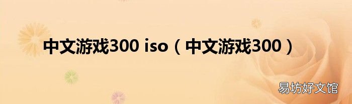 中文游戏300 中文游戏300 iso