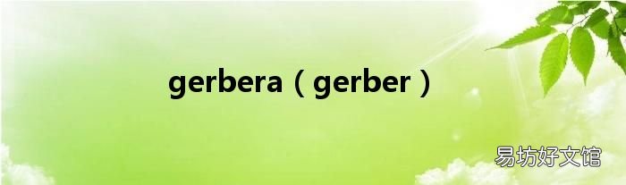 gerber gerbera