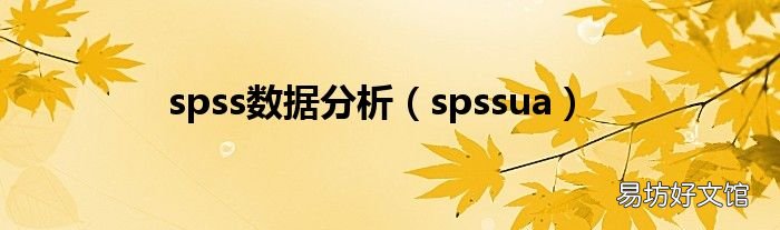 spssua spss数据分析