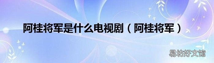 阿桂将军 阿桂将军是什么电视剧