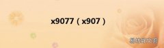 x907 x9077