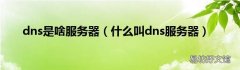 什么叫dns服务器 dns是啥服务器