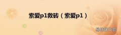 索爱p1 索爱p1救砖