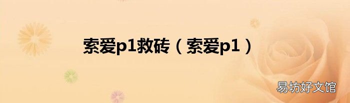 索爱p1 索爱p1救砖