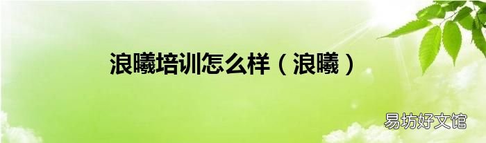 浪曦 浪曦培训怎么样