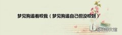 梦见狗追自己但没咬到 梦见狗追着咬我