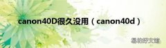 canon40d canon40D很久没用