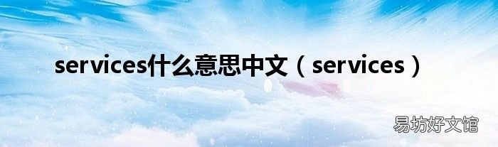 services services什么意思中文