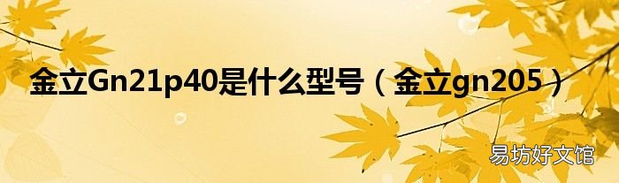 金立gn205 金立Gn21p40是什么型号