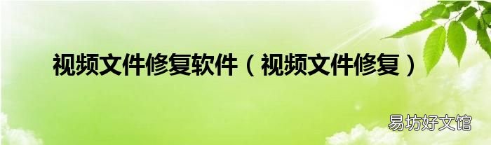 视频文件修复 视频文件修复软件
