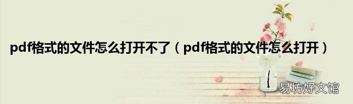 pdf格式的文件怎么打开 pdf格式的文件怎么打开不了
