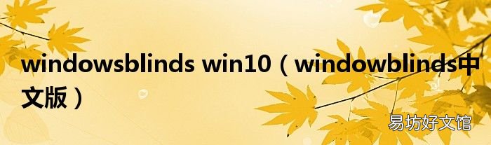 windowblinds中文版 windowsblinds win10