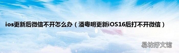 潘粤明更新iOS16后打不开微信 ios更新后微信不开怎么办