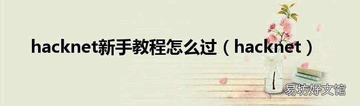hacknet hacknet新手教程怎么过