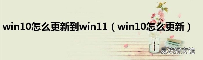 win10怎么更新 win10怎么更新到win11