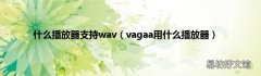 vagaa用什么播放器 什么播放器支持wav