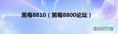 黑莓8800论坛 黑莓8810