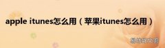 苹果itunes怎么用 apple itunes怎么用