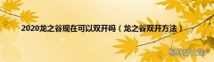 龙之谷双开方法 2020龙之谷现在可以双开吗
