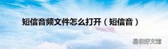 短信音 短信音频文件怎么打开
