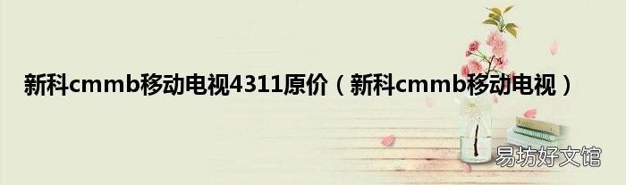 新科cmmb移动电视 新科cmmb移动电视4311原价
