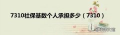 7310 7310社保基数个人承担多少
