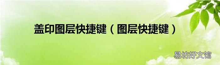 图层快捷键 盖印图层快捷键