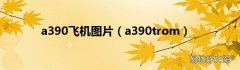 a390trom a390飞机图片