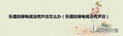 乐播投屏电视没有声音 乐播投屏电视没有声音怎么办