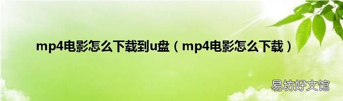 mp4电影怎么下载 mp4电影怎么下载到u盘