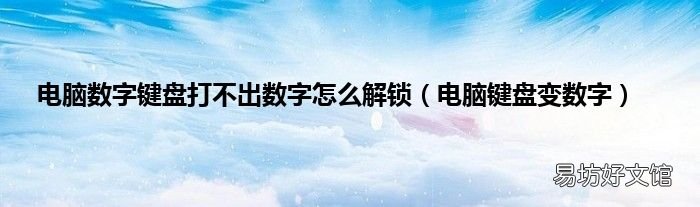 电脑键盘变数字 电脑数字键盘打不出数字怎么解锁