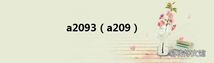 a209 a2093