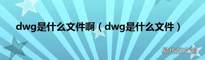 dwg是什么文件 dwg是什么文件啊