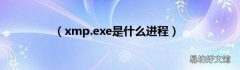 xmp.exe是什么进程 &lt;xmp&gt;&lt;/xmp&gt;