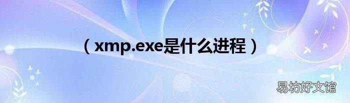xmp.exe是什么进程 <xmp></xmp>