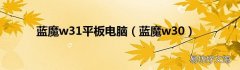 蓝魔w30 蓝魔w31平板电脑
