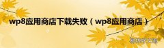 wp8应用商店 wp8应用商店下载失败