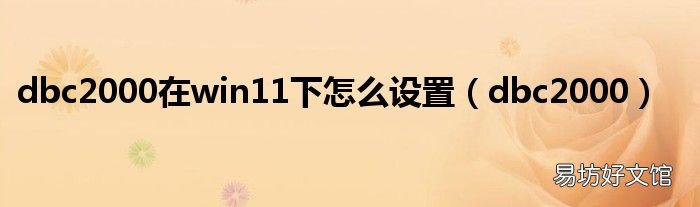 dbc2000 dbc2000在win11下怎么设置