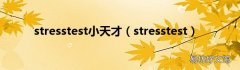 stresstest stresstest小天才